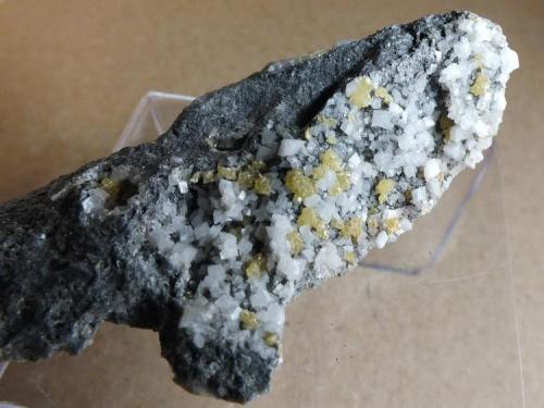 Esfalerita, dolomita
Frontier Quarry, Lockport, Niagara Co., New York, USA
6 x 3 cm (Autor: molsina)