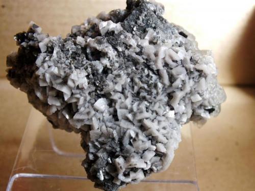 Marcasita, calcita, dolomita
Benchmark Quarry, St. Johnsville, New York, USA
8 x 8 cm (Autor: molsina)