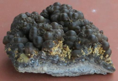 Klebelsbergita, Antimonita, Siderita
Felsôbánya, Transilvania (hoy Rumanía)
4,5 x 3,5 x 2 cm
Pieza extraída en los años 1950.
la klebelsbergita (lo amarillo ocre) viene en grupitos de cristales formando abanicos encima de antimonita
(de momento no tengo equipo para sacar fotos de micros)
La siderita son las bolas que ocupan la mayoría de la pieza: variedad esferosiderita (Autor: Kaszon Kovacs)