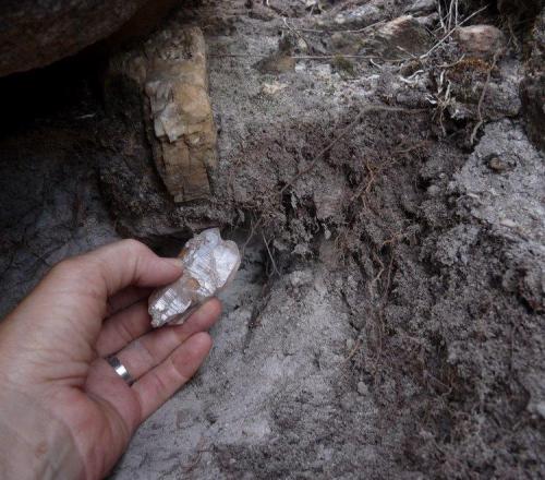 A crystal fresh from the earth. (Author: Pierre Joubert)