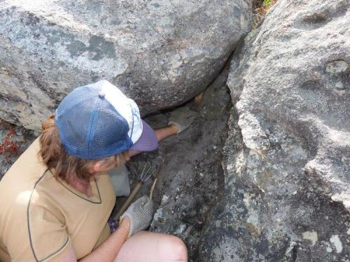 Riana busy removing part of a large quartz pocket. (Author: Pierre Joubert)