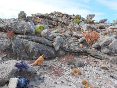 Our destination:  a mountainous area which suffered from a recent fire.  Note the white quartz in the foreground. (Author: Pierre Joubert)