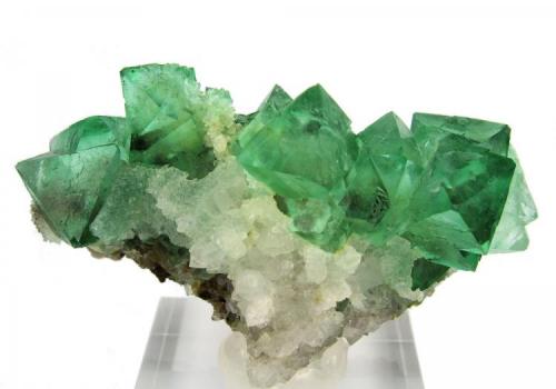 Fluorita, cuarzo
Riemvasmaak, Gordonia District, Namaqualand, Northern Cape Province, Sudáfrica
80 mm x 56 mm x 35 mm (Autor: Carles Millan)