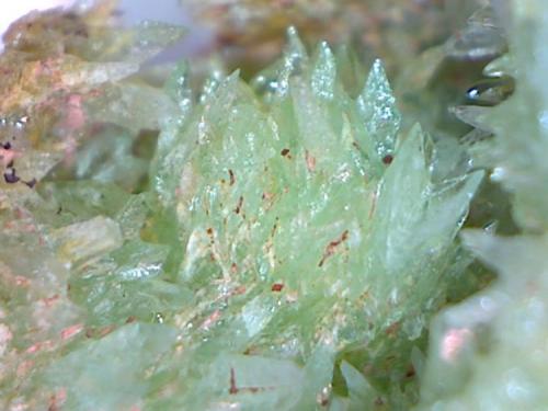Phosphophyllite
Taja Lapis adit of the Wayllani Mine, Colavi-Machacamarca mining district, 60 km NE of Cerro Rico, Potosi, Bolivia
3.9 x 3 x 2 cm
close-up (Author: Don Lum)