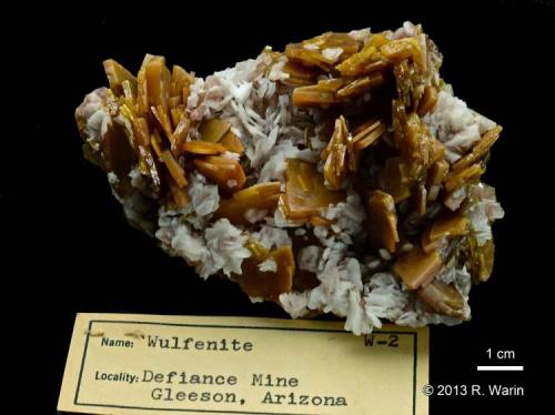 Wulfenite
Defiance Mine, Gleeson, Arizona, USA
Old piece. (Author: Roger Warin)