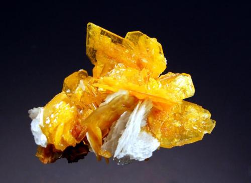 Wulfenite
San Francisco Mine, 5th Level, Cucurpe, Sonora, Mexico
5.3 x 6.4 cm.
Wafer-thin wulfenite crystals to 2.0 cm. hosting small botryoidal orange mimetite crystals and and bladed white barite. (Author: crosstimber)