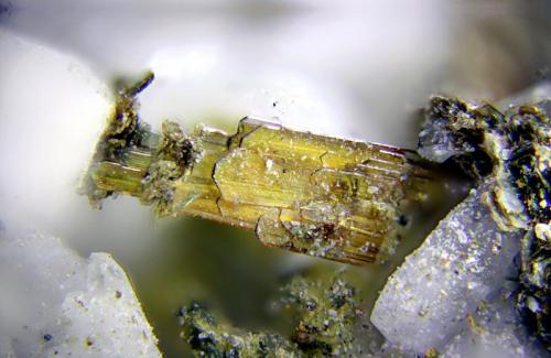 Brookita.
Adra, Almería, Andalucía, España.
Cristal 2,8 mm. (Autor: Antonio Carmona)