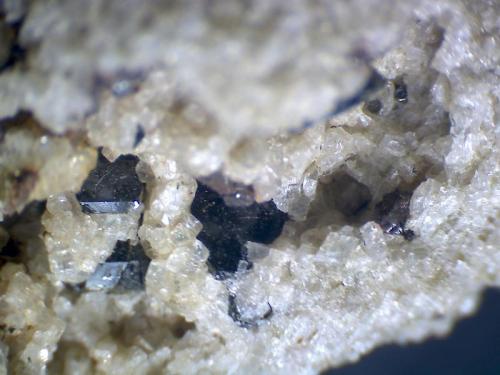 Allanita
Cantera Dellen, Niedermendig, Mendig, Complejo volcánico del Lago Laach, Eifel, Alemania
50X; 2 mm. de longitud aprox. la parte visible del cristal de la izquierda
Cristales negros de allanita en una pumita de sanidina. (Autor: prcantos)