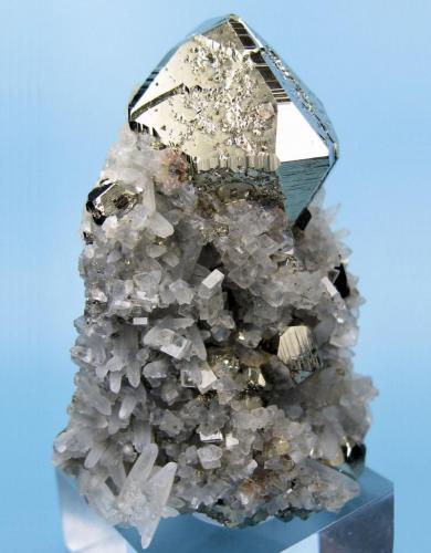 Pyrite, quartz, calcite?
Huanzala Mine, Huallanca District, Dos de Mayo Province, Huánuco Department, Peru
71 mm x 52 mm (Author: Carles Millan)