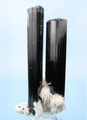 Schorl, elbaite, albite
Bulochi, Astor valley, Astor District, Gilgit-Baltistan, Pakistan
63 mm x 31 mm (Author: Carles Millan)