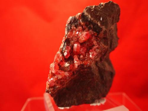 Rhodochrosite
Uchucchacua Mine, Oyon Province, Lima Department, Peru
10 x 9.5 x 6.9 cm (Author: Don Lum)