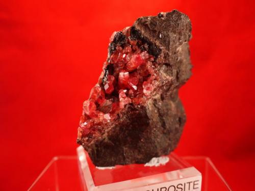 Rhodochrosite
Uchucchacua Mine, Oyon Province, Lima Department, Peru
10 x 9.5 x 6.9 cm (Author: Don Lum)