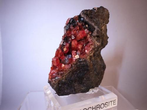 Rhodochrosite
Uchucchacua Mine, Oyon Province, Lima Department, Peru
10 x 9.5 x 6.9 cm (Author: Don Lum)