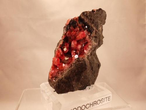 Rhodochrosite
Uchucchacua Mine, Oyon Province, Lima Department, Peru
10 x 9.5 x 6.9 cm (Author: Don Lum)