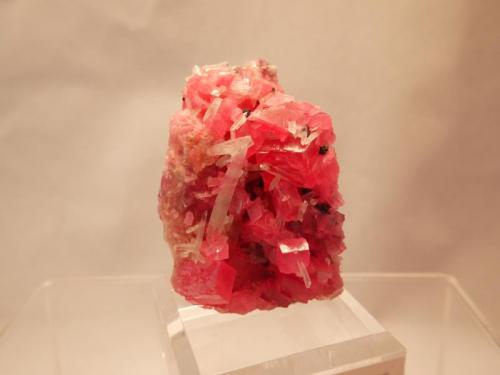 Rhodochrosite
Sweet Home Mine, Mount Bross, Alma District, Park County, Colorado, USA
5.5 x 4.5 x 3.4 cm (Author: Don Lum)