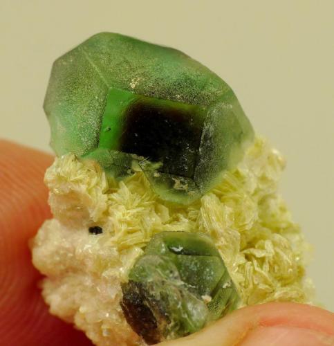 Fluorite with muscovite
Erongo mountains; Namibia
26 x 15 x 15 mm (13 mm)
Same specimen as above. (Author: Pierre Joubert)