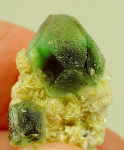 Fluorite with muscovite
Erongo mountains; Namibia
26 x 15 x 15 mm (13 mm) (Author: Pierre Joubert)