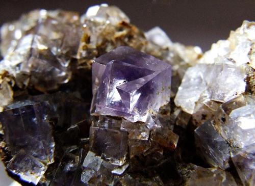 Fluorite.
Dawsons Vein, Middlehope, Weardale, Co Durham, England, UK.
Fluorite to 6 mm (Author: nurbo)