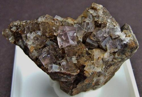 Fluorite.
Dawsons Vein, Middlehope, Weardale, Co Durham, England, UK.
35 x 20 mm (Author: nurbo)