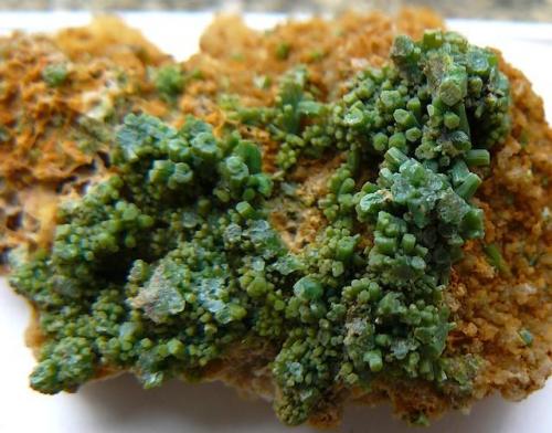 Pyromorphite
Les Farges Mine, Corrèze Departement, Central Massif, France.
30*20 mm (Author: Benj)