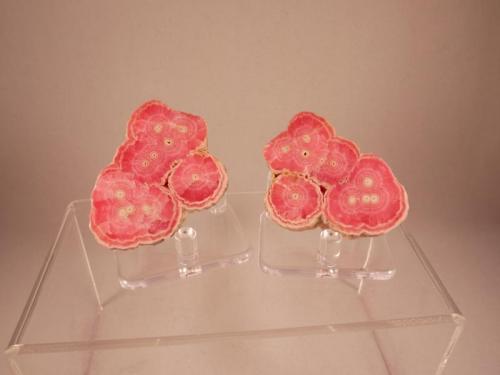 Rhodochrosite
Capillitas Mine, Catamarca, Argentina
5.3 x 4.0 x 3.2 cm (left), 5.3 x x 4.3 x 2.3 cm (right)
Rhodochrosite Stalactite (Author: Don Lum)