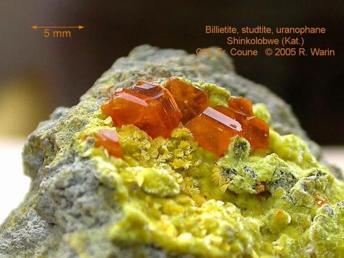 Billietite, studtite, uranophane
Shinkolobwe, Katanga, Democratic Republic of Congo (Zaïre).
Exceptional piece (Author: Roger Warin)