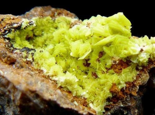 Autunite
Lignol, Morbihan, Brittany Area, Armoric Massif, France.
35*25 mm (Author: Benj)