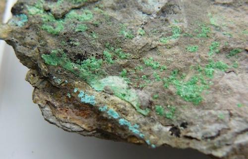 Zeunerite with Tyrolite
Rabéjac, Hérault, Central Massif, France.
20*15 mm (Author: Benj)