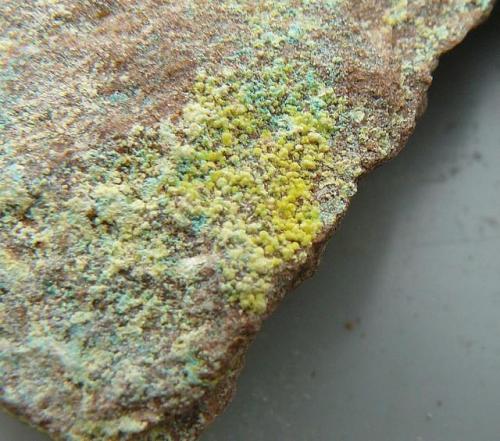 Uranophane-B with Mixite
Rabéjac, Hérault, Central Massif, France.
15*10 mm
 (Author: Benj)
