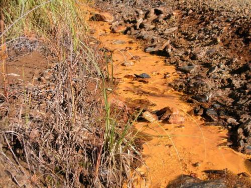 Filón Norte, Tharsis, Alosno, Huelva, Spain
iron oxide rich streams are common here. But, vascular plants appears not to be feared by the high metal content... (Author: Cesar M. Salvan)
