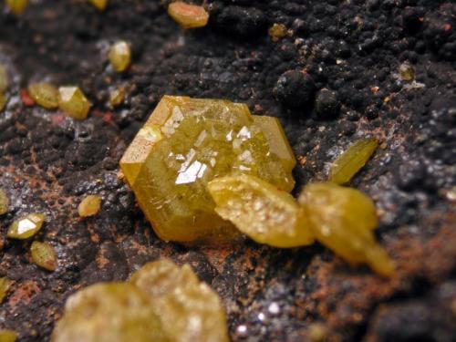 Mimetite
Filón Sur, Tharsis, Alosno, Huelva, Spain
crystal max. 0.9 mm
Typical mimetite on goethite from Filon Sur. (Author: Cesar M. Salvan)