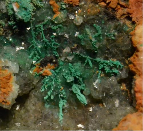 Malaquita pseudomorfica  de cobre nativo
Mina Texeo, Rioseco, Riosa, Asturias, España
imagen 3 x 3 Cm.
Ampliación de la imagen anterior (Autor: Quexigal)