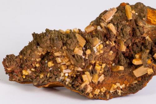 Wulfenita
Mina Ojuela, Mapimí, Durango, México.
13x17 cm
Detalle de la anterior (Autor: victor chaul chamut)