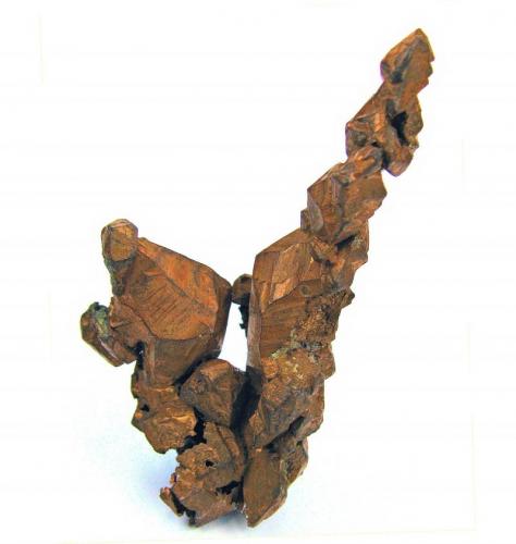 Cobre
Central Mine, Central, Keweenaw Co., Michigan,  EUA
60 mm x 38 mm x 16 mm (Autor: Carles Millan)