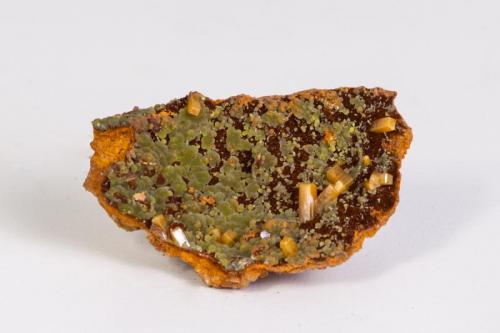 Wulfenita con Mimetita
Mina Ojuela, Mapimí, Durango, México
7x5 cm (Autor: victor chaul chamut)