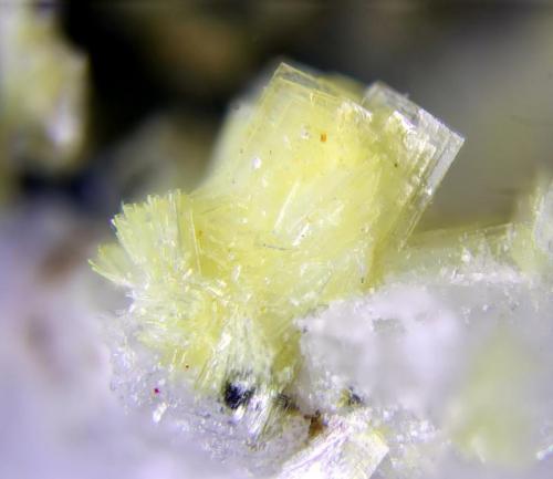 Bavenita
Sedella, Málaga, Andalucía, España.
Grupo de cristales de 2 mm. (Autor: Antonio Carmona)