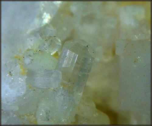 Milarita
Sierra Tejeda - Málaga - Andalucía - España
cristales entre 1 y 3 mm (Autor: Mijeño)