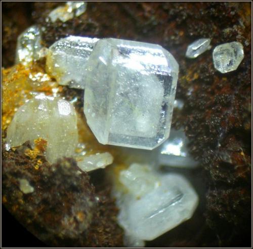 Cerusita
Sierra de las Nieves - Málaga - Andalucía - España
cristales entre 2 y 3 mm (Autor: Mijeño)