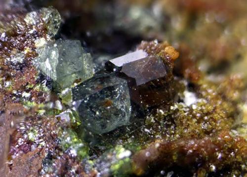 Escorodita con posible farmacosiderita?.
Permiso de Investigación "Nicolasita", Paraje Hortales, Dos Torres, Comarca Los Pedroches, Córdoba, Andalucía, España.
Enfoque 3 mm. (Autor: Antonio Carmona)