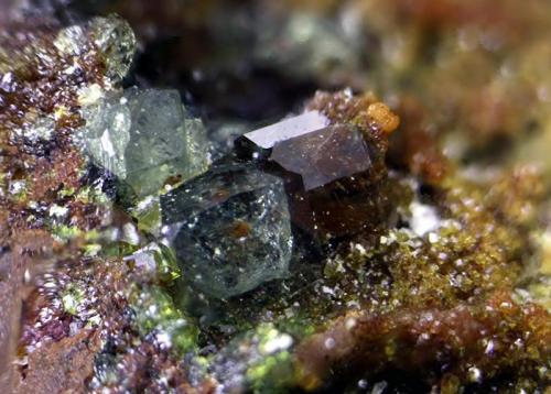 Escorodita con posible farmacosiderita?.
Dos Torres, Córdoba, Andalucía, España.
Enfoque 3 mm. (Autor: Antonio Carmona)