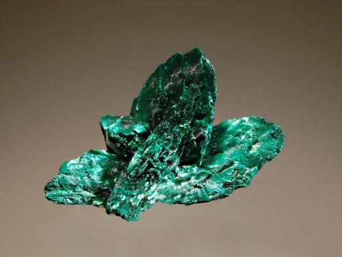 Malachite
Milpillas Mine, Ciutaca, Mun. de Santa Cruz, Sonora, Mexico
2.2 x 2.9 cm
Chatoyant malachite pseudomorphing azurite. (Author: crosstimber)