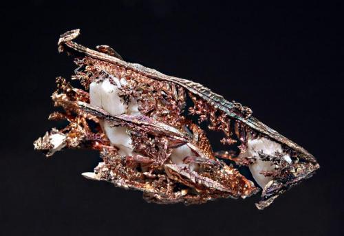 Silver
La Nevada Mine, Cerro San Antonio, Mun. de Batopilas, Chihuahua, Mexico
1.8 x 2.9 cm.
Spinel-twinned silver forming a herringbone pattern with remnant white calcite. (Author: crosstimber)