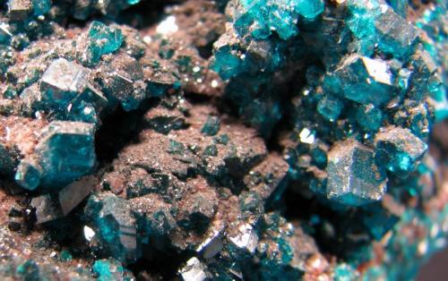 Dioptasa
Tsumeb, Región de Otjikoto, Namibia
67 x 60 x 30 mm.
detalle (Autor: José Luis Zamora)