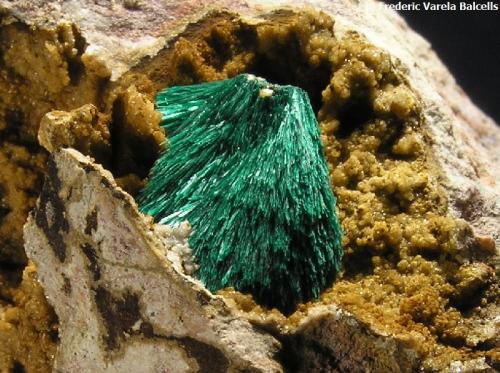 Malaquita
Kerrouchene, Khénifra, Meknès-Tafilalet, Marruecos
Grupo de cristales aciculares 1,3 x 1 cm. Detalle de la pieza anterior (Autor: Frederic Varela)