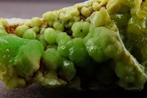 Pyromorphite.
Mexico Opencut, Roughton Gill, Caldbeck Fells, Cumbria, England, UK.
FOV 20 x 15 mm approx (Author: nurbo)