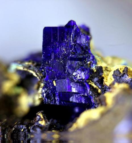 Azurita.
Mina "Primitiva", Bilbao, Vizcaya, País Vasco, España.
Cristal de 3,5 mm. (Autor: Antonio Carmona)