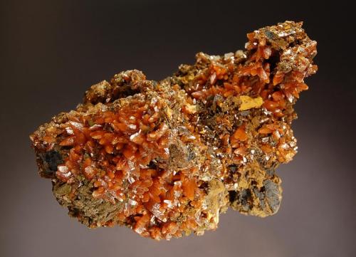 Wulfenite
Aurora Mine, Cuchillo Parado, Mun. de Coyame, Chihuahua, Mexico
7.0 x 8.2 cm.
Brownish-orange pyramidal crystals to 6 mm lining cavities in gossan matrix. (Author: crosstimber)