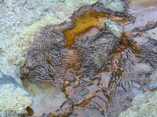 The extremophiles paradise: biogenic terraces in the acidic waters of the river Tinto. The yellow material in the shore is biogenic sulfur. (Author: Cesar M. Salvan)