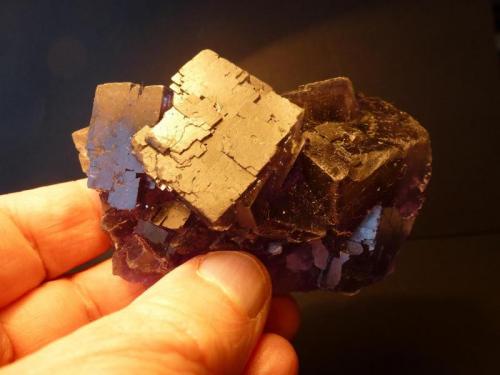 Fluorita<br />La Viesca Mine, La Collada mining area, Huergo, Siero, Comarca Oviedo, Principality of Asturias (Asturias), Spain<br />7 x 6 cm<br /> (Autor: javier ruiz martin)