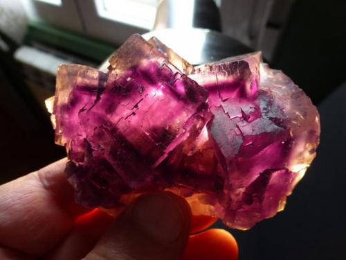 Fluorita<br />La Viesca Mine, La Collada mining area, Huergo, Siero, Comarca Oviedo, Principality of Asturias (Asturias), Spain<br />7 x 6 cm<br /> (Autor: javier ruiz martin)